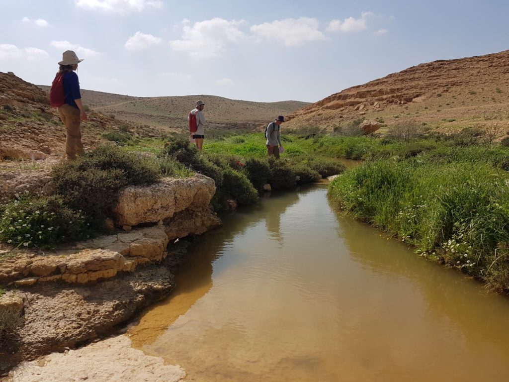 עמותת ניצן - חווה טיפולית: חוות נוער חקלאית, טיפול באמצעות שטח,